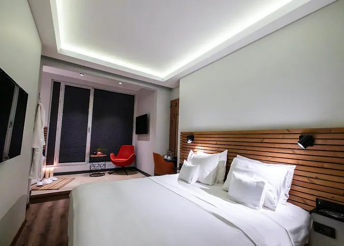 Hotel Discovery Stambuł